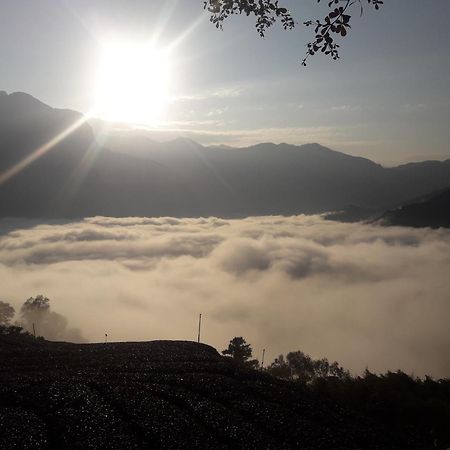 Alishan Shanyunhua B&B Homestay Meishan Exteriér fotografie