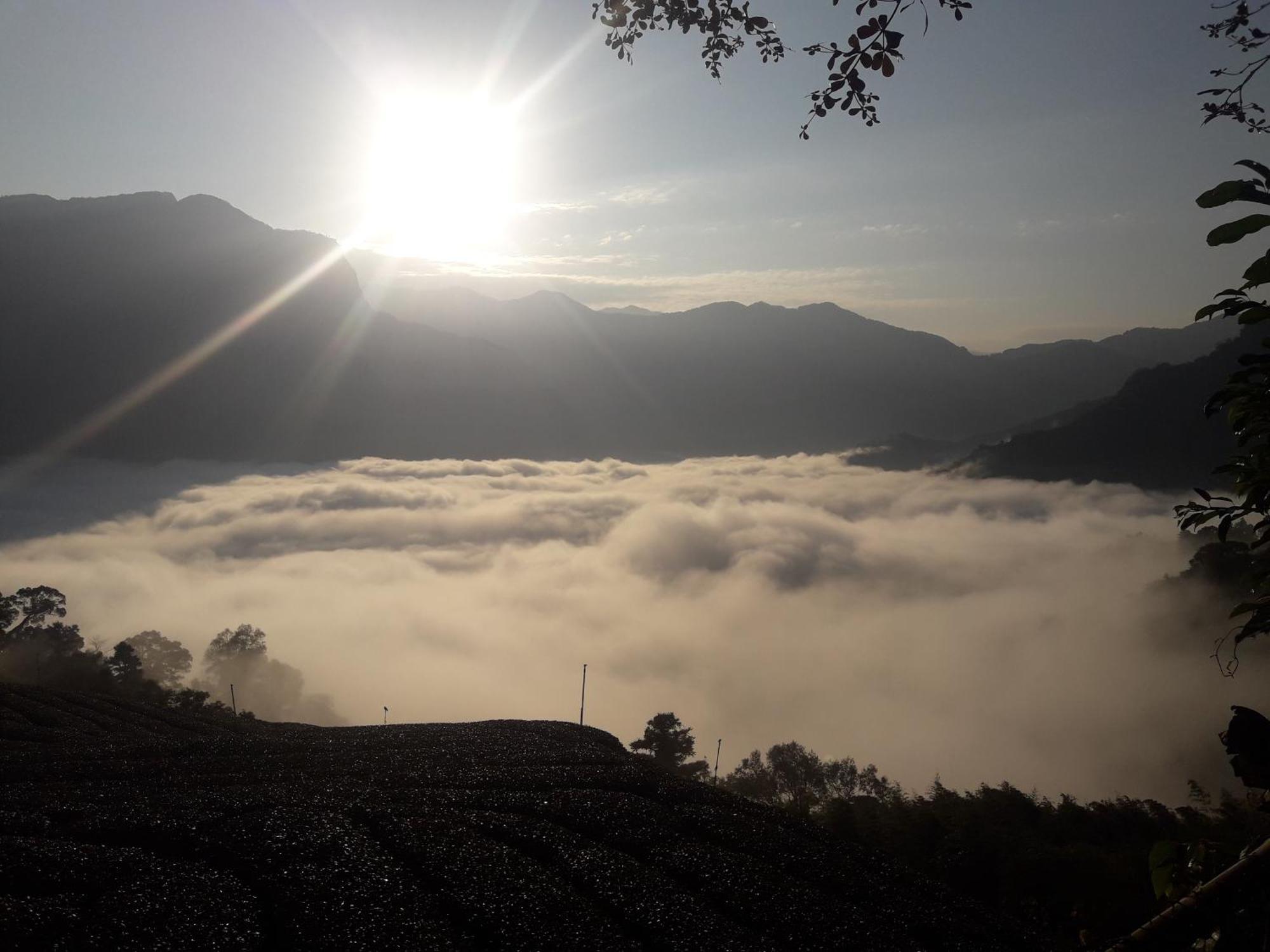 Alishan Shanyunhua B&B Homestay Meishan Exteriér fotografie