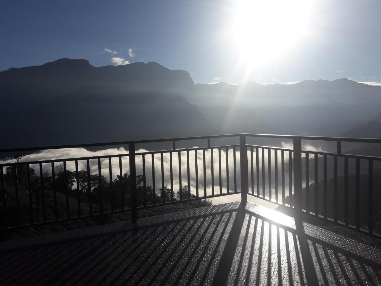 Alishan Shanyunhua B&B Homestay Meishan Exteriér fotografie